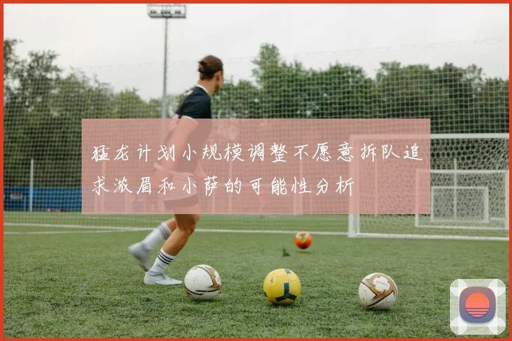 猛龙计划小规模调整不愿意拆队追求浓眉和小萨的可能性分析
