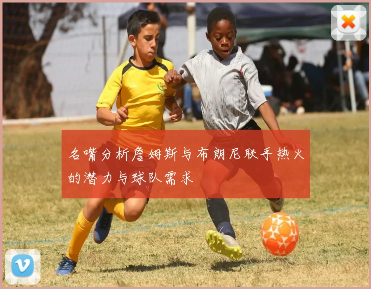 名嘴分析詹姆斯与布朗尼联手热火的潜力与球队需求